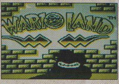 Cover 22
