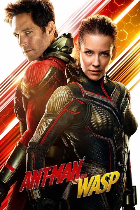 Cover 2