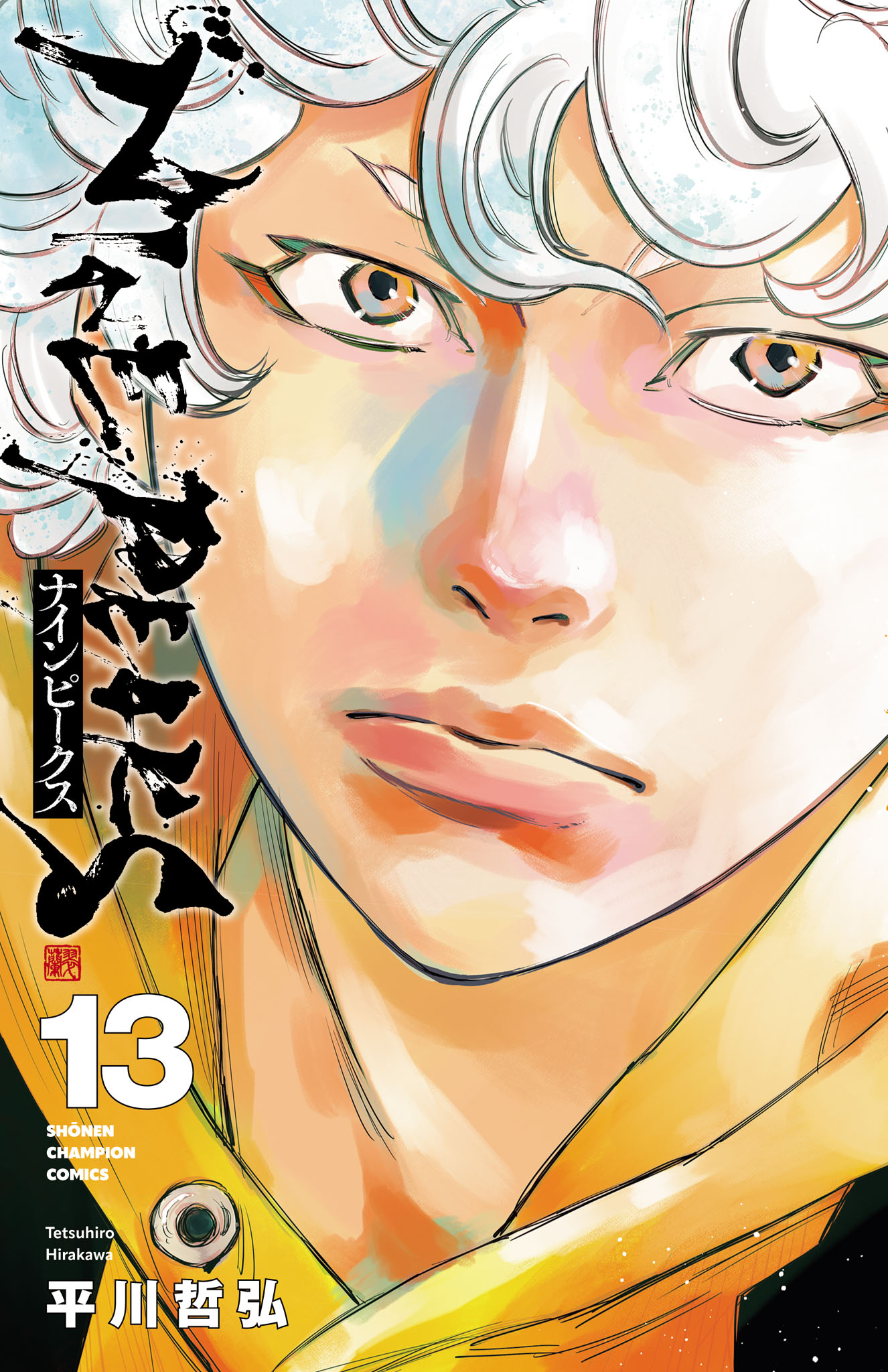 Cover 13