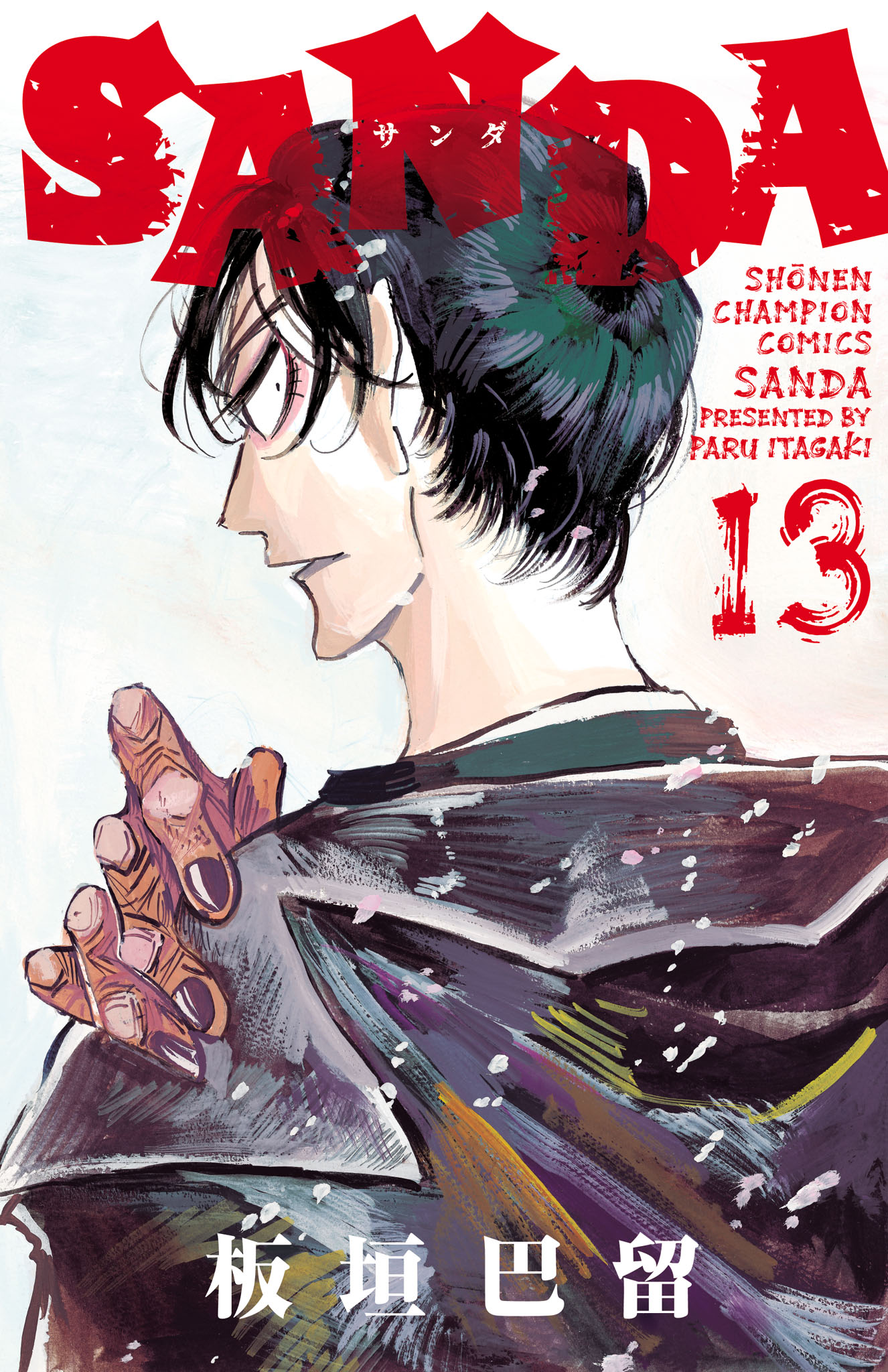 Cover 13