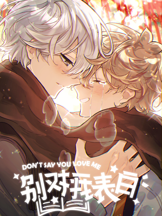 Don't Say You Love Me's cover