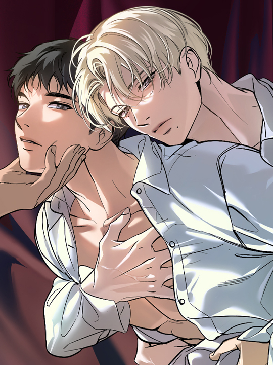 Backlight's cover