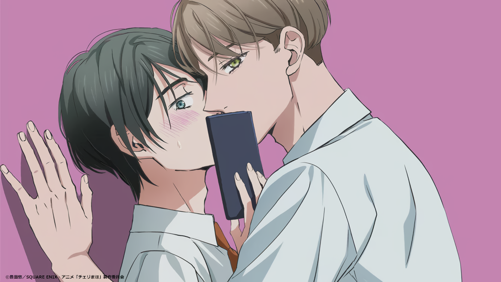 Cover 25