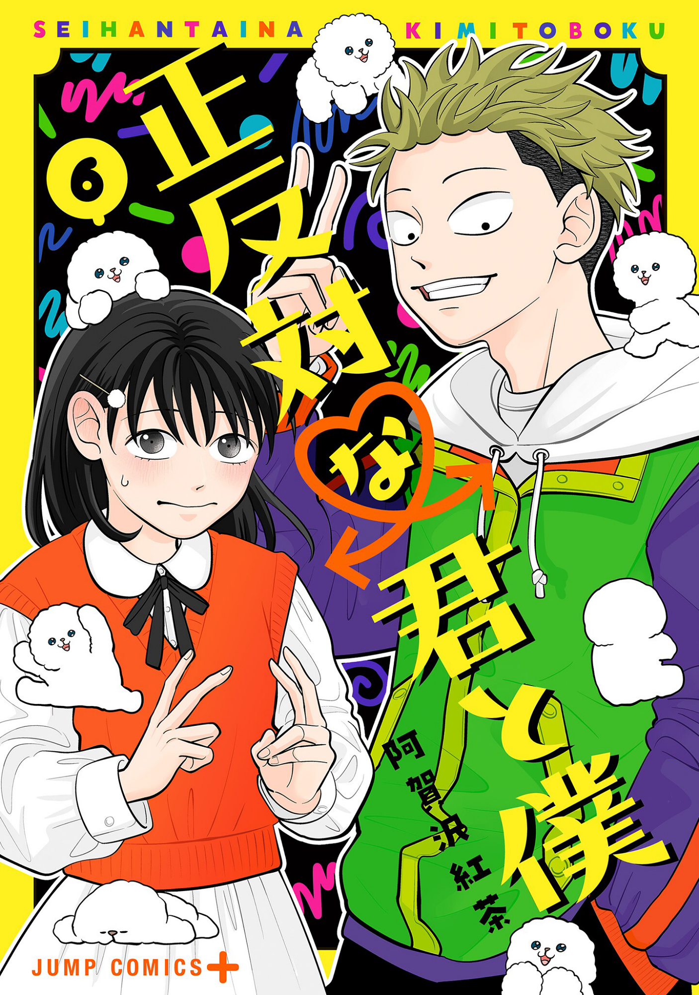 Cover 6