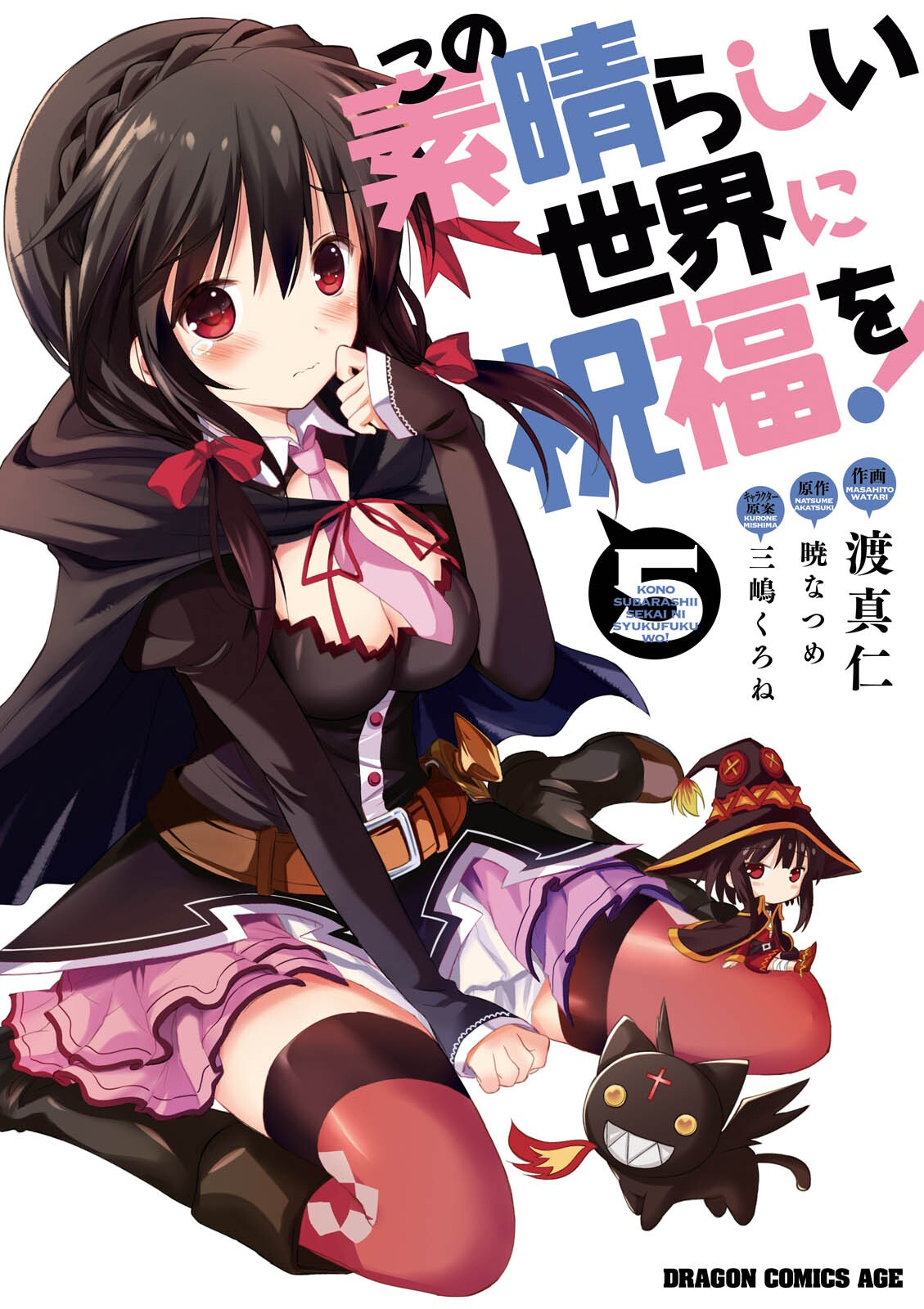 Cover 22