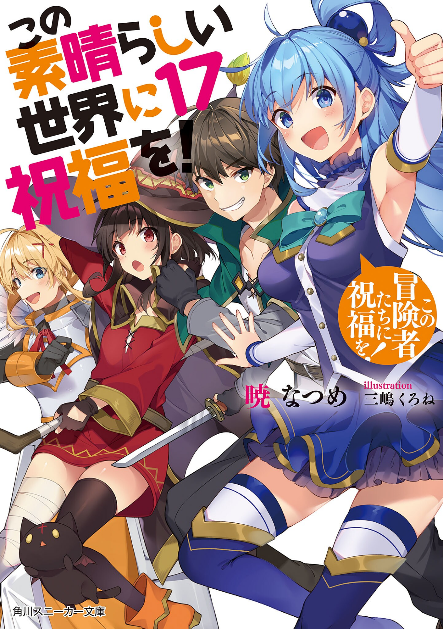 Cover 17
