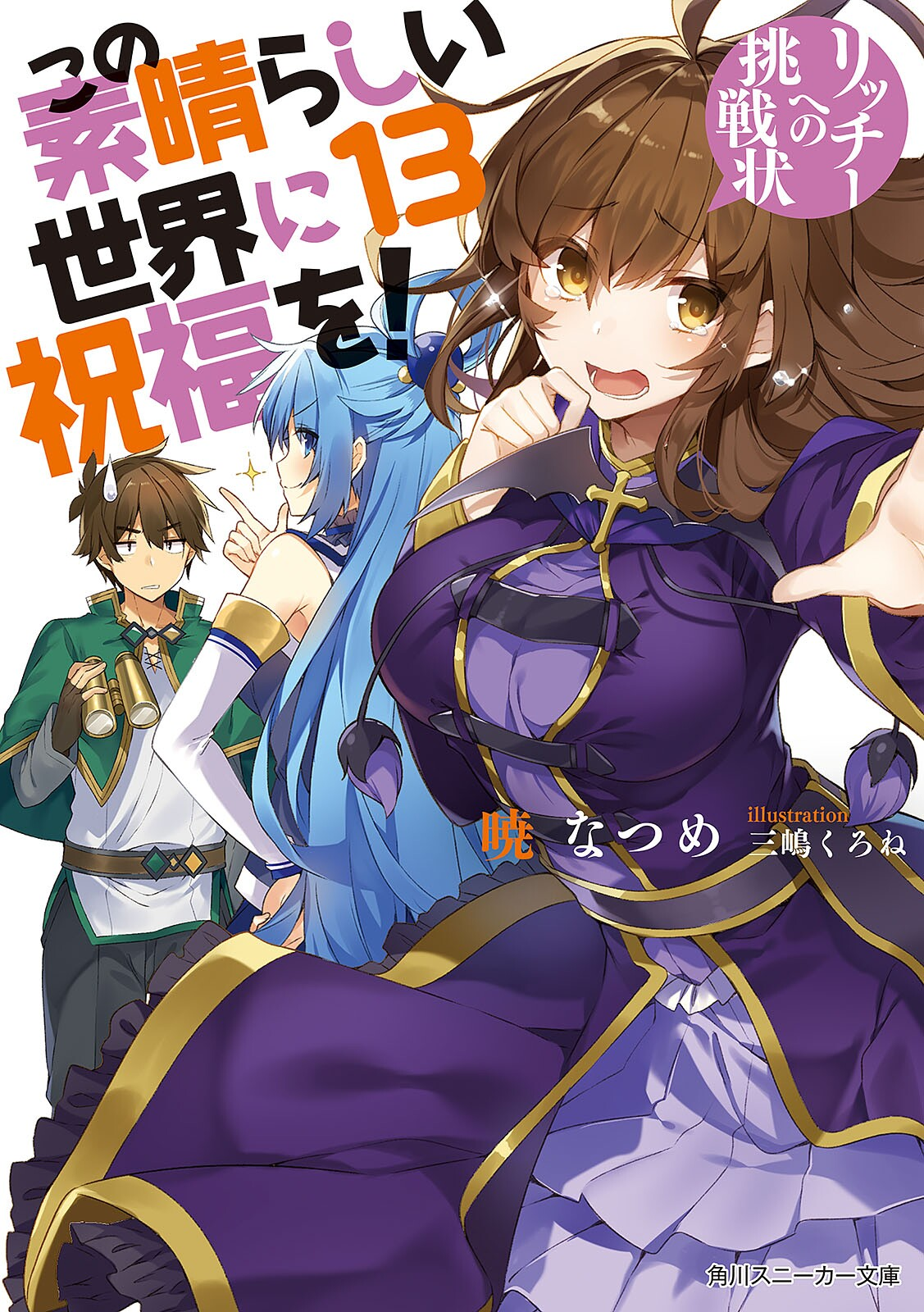Cover 13