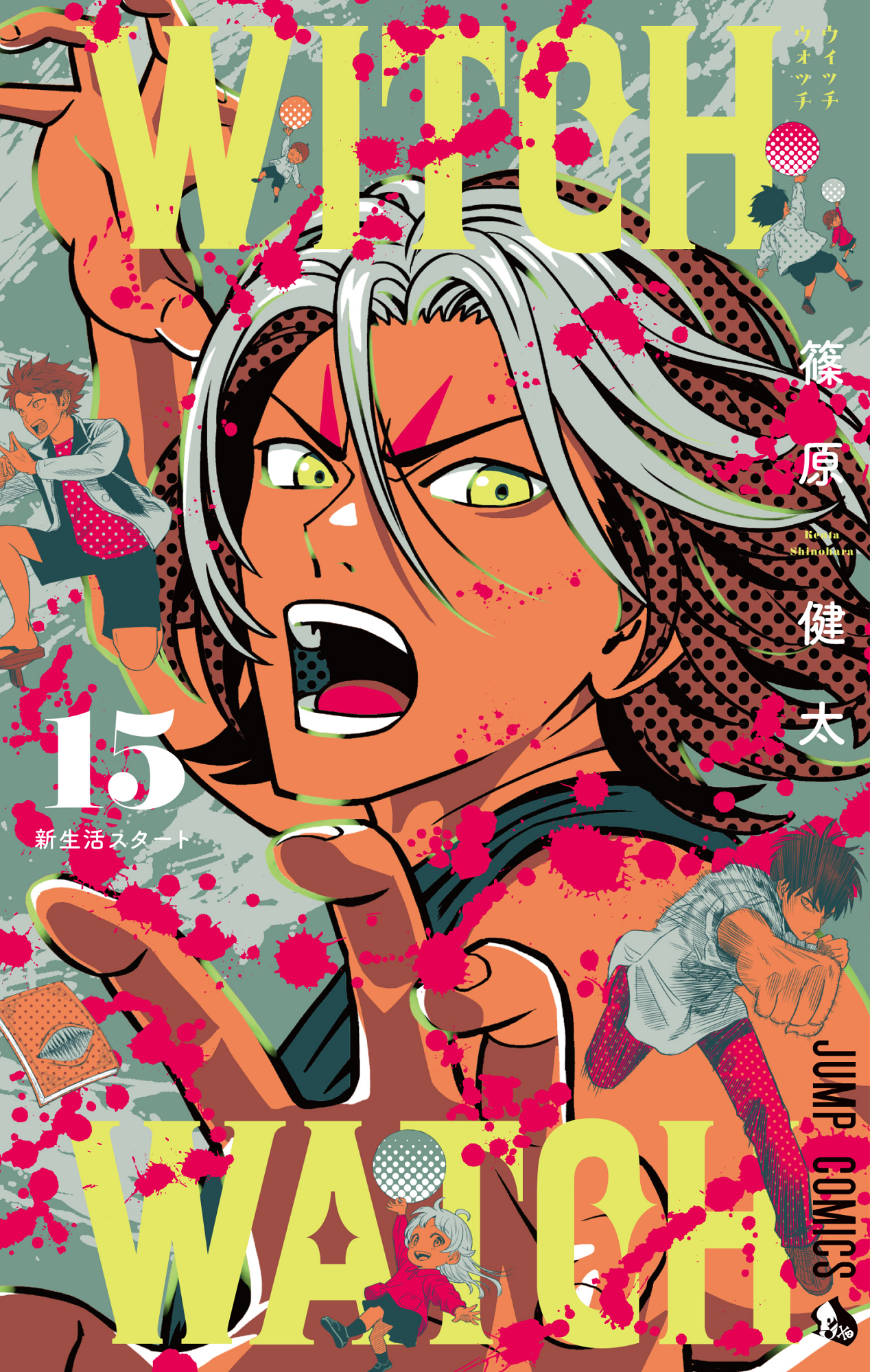 Cover 15