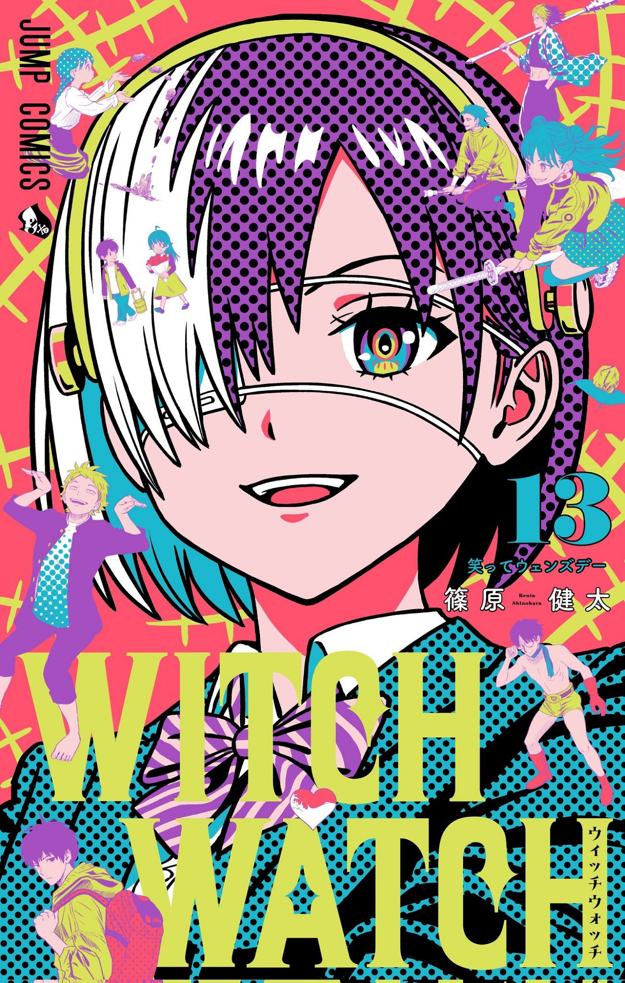 Cover 13