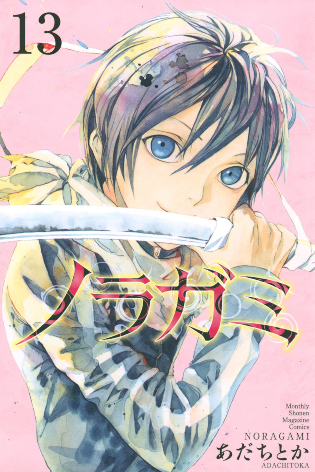 Cover 13