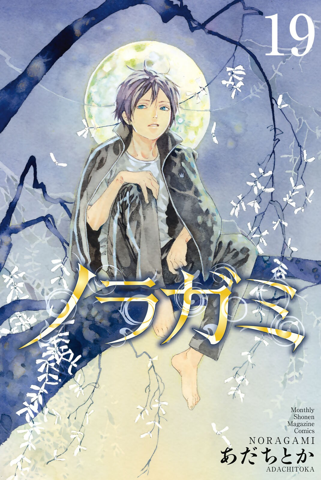 Cover 19