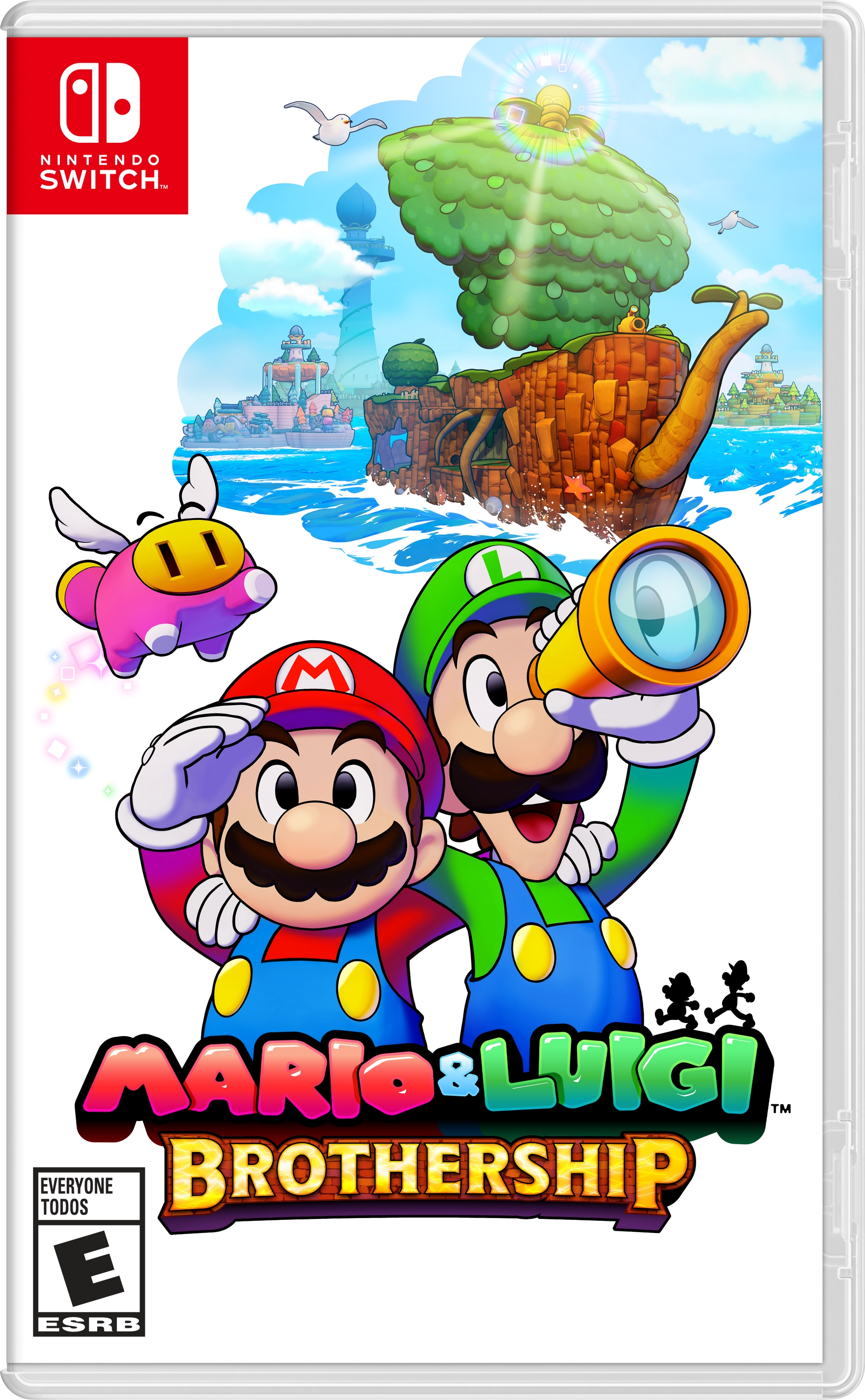 Cover 13