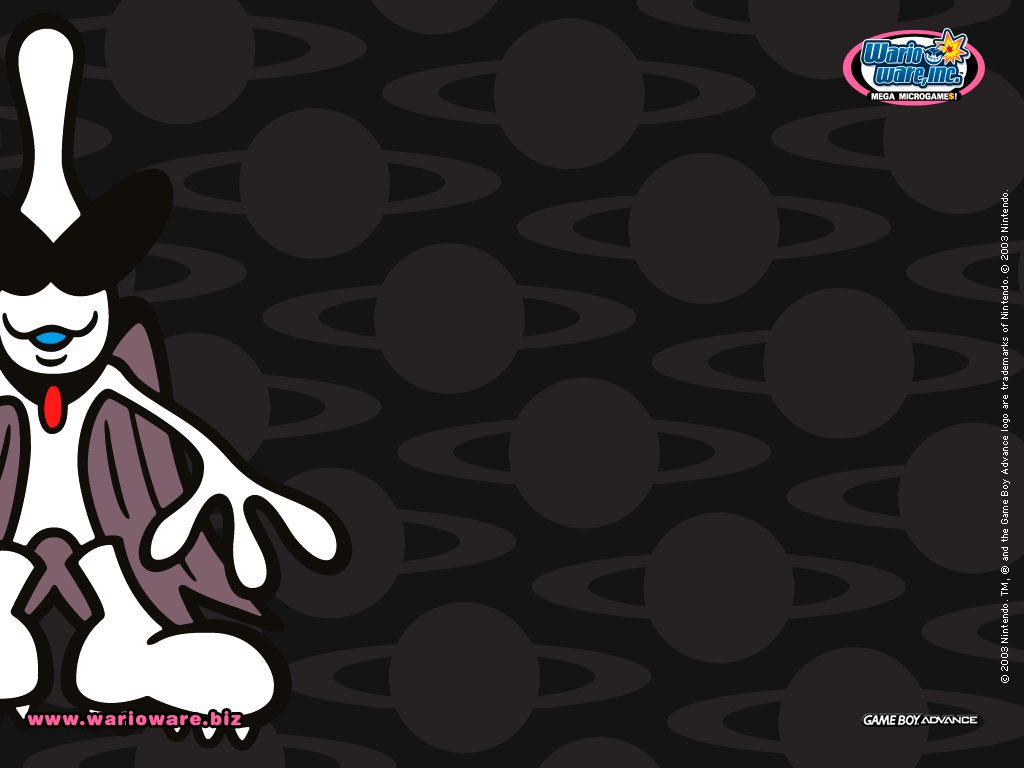 Cover 13