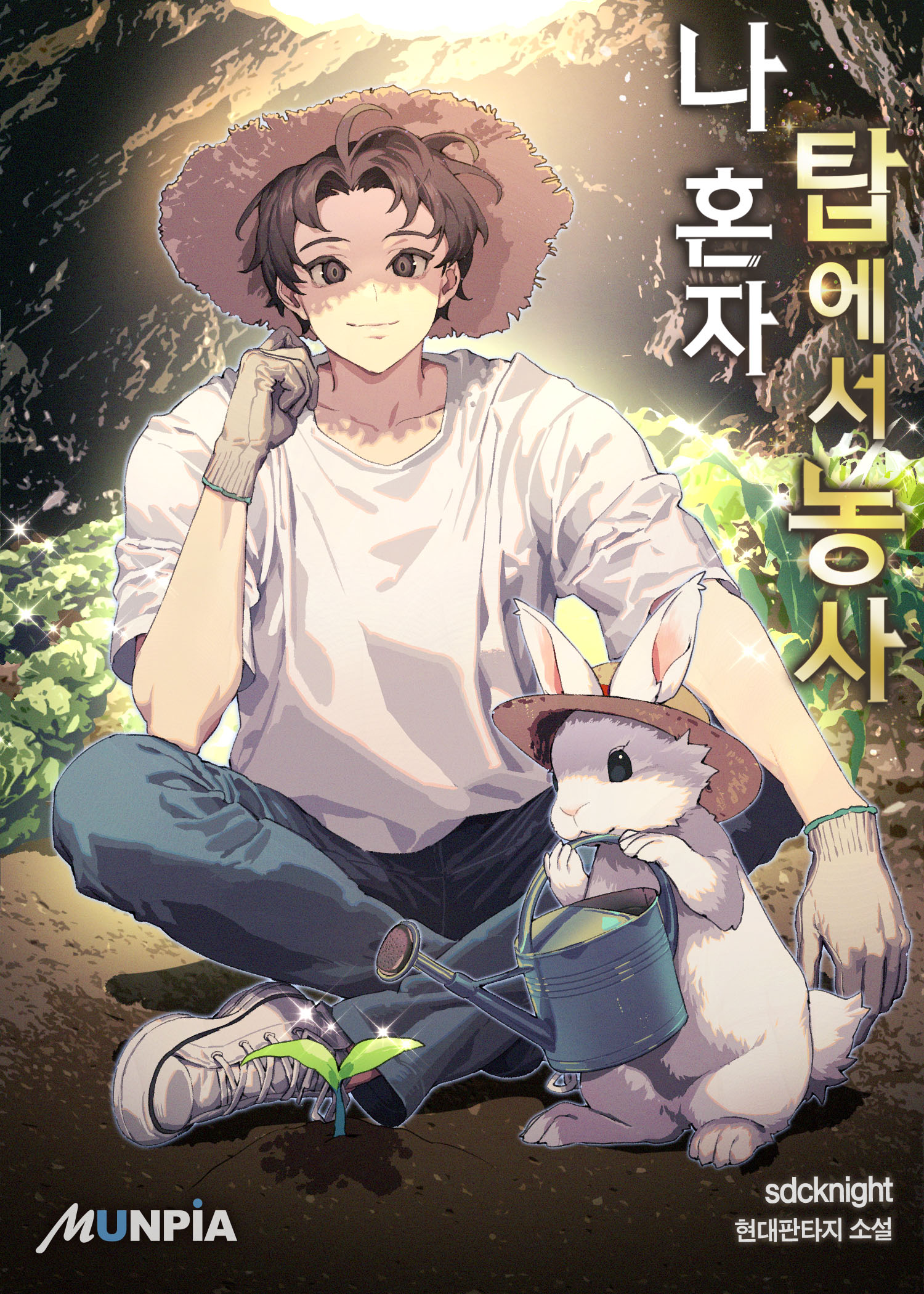 Cover 3