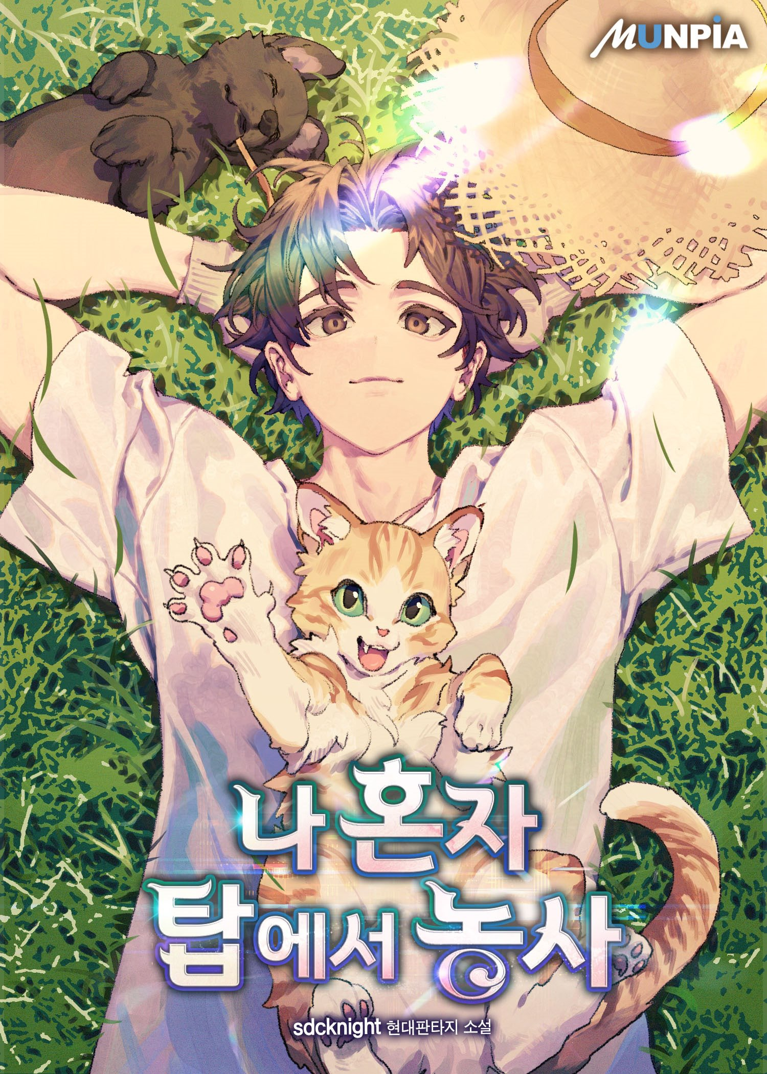 Cover 4