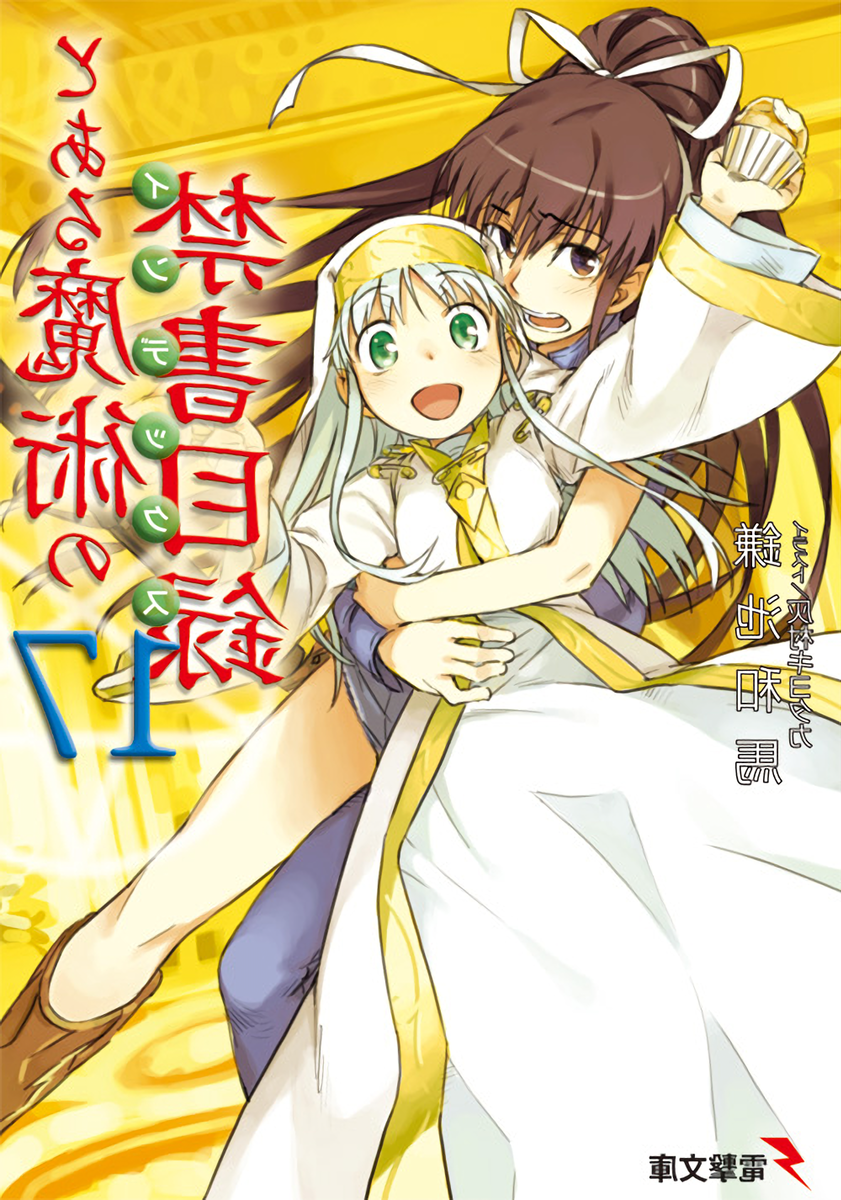 Cover 17