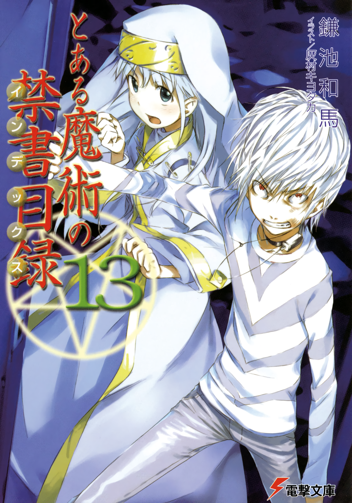 Cover 13