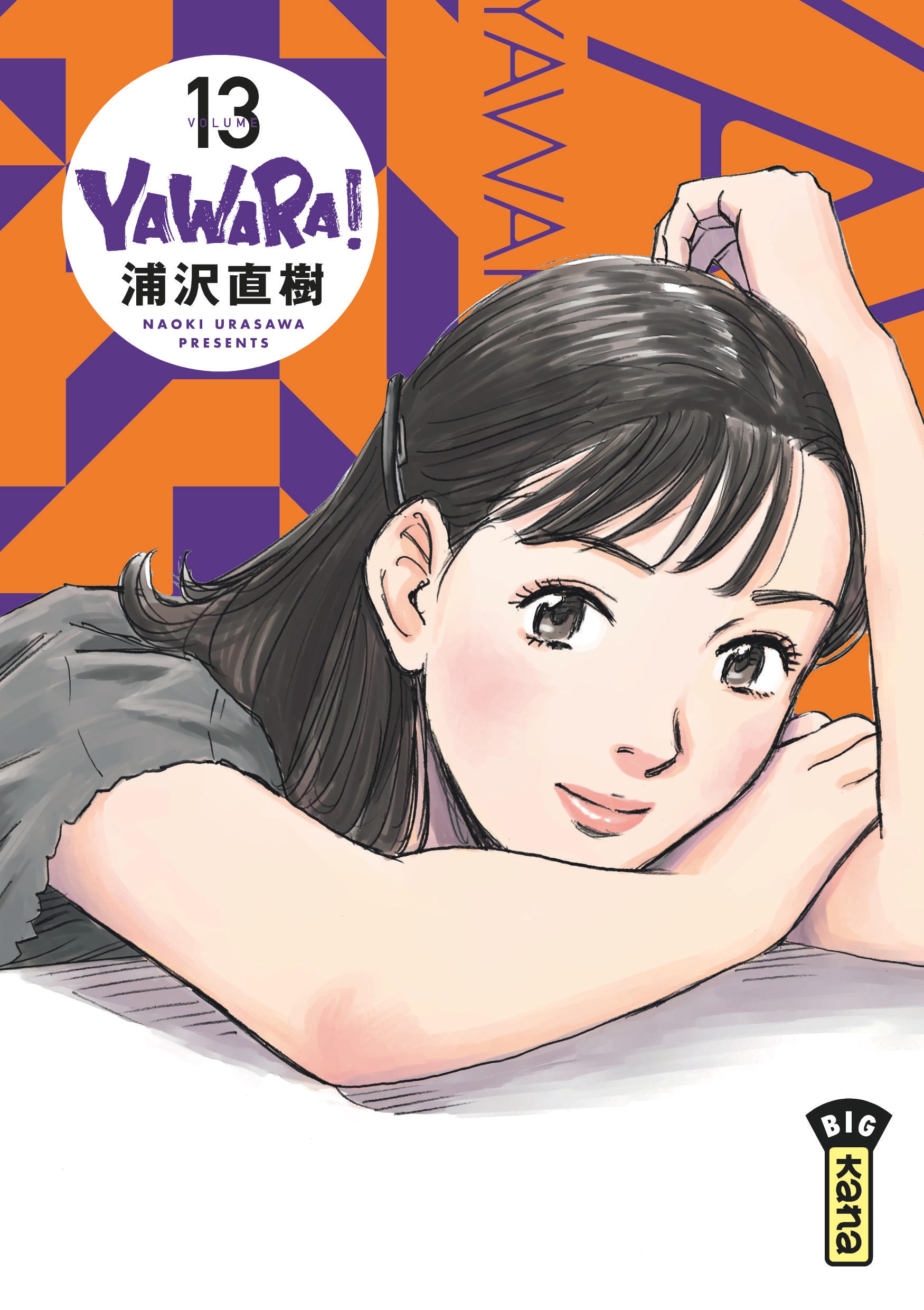 Cover 13