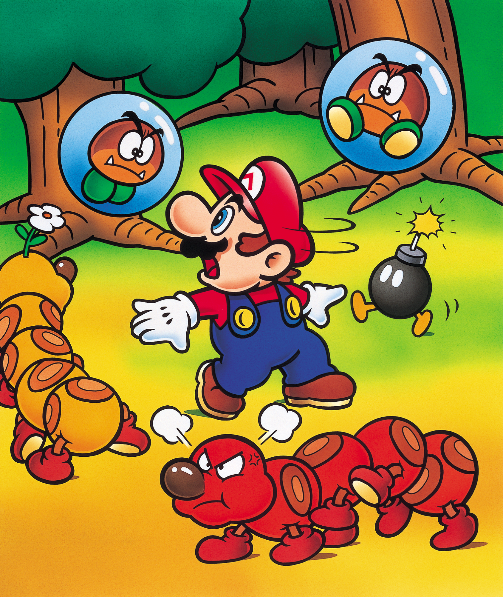 Cover 45