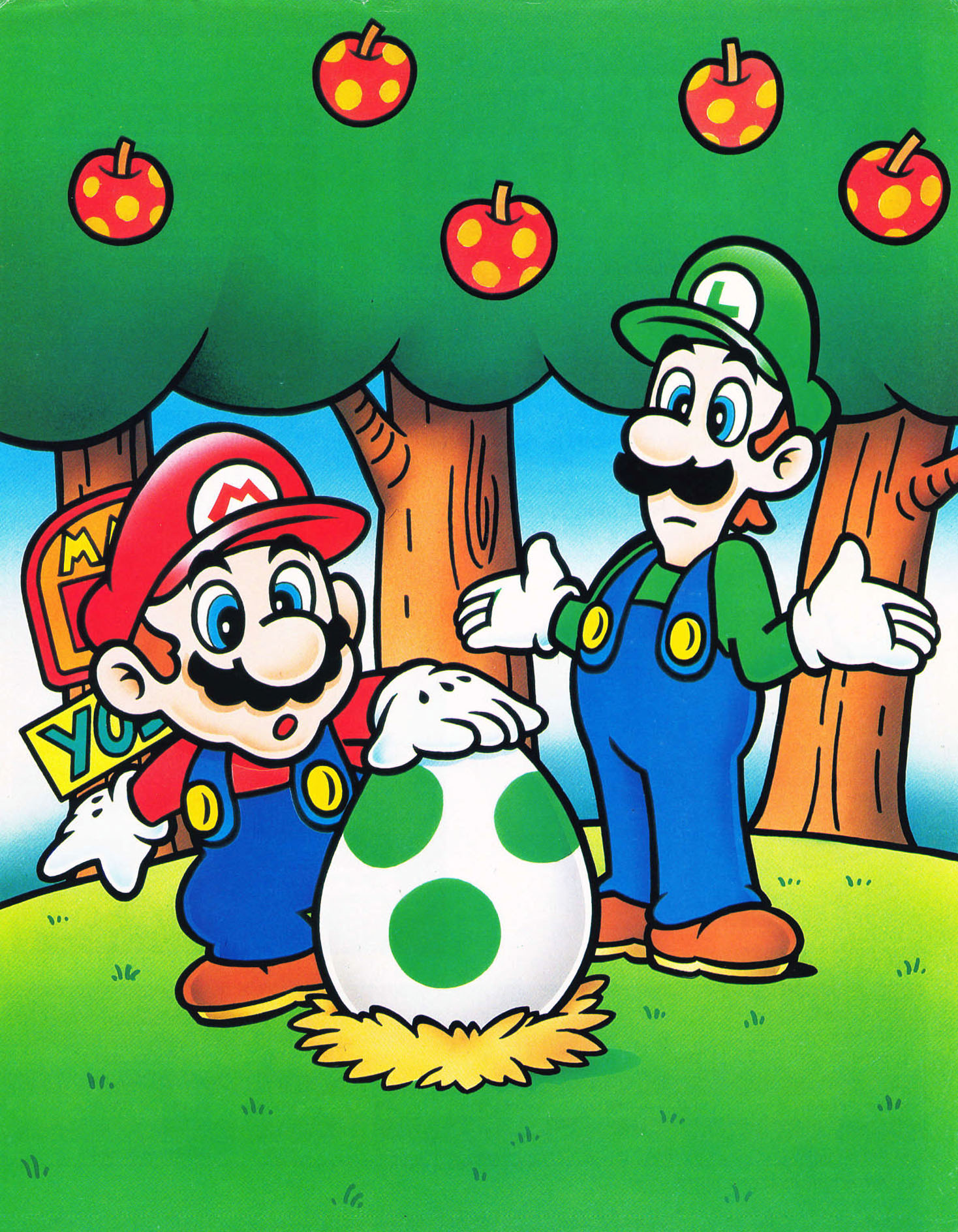 Cover 41