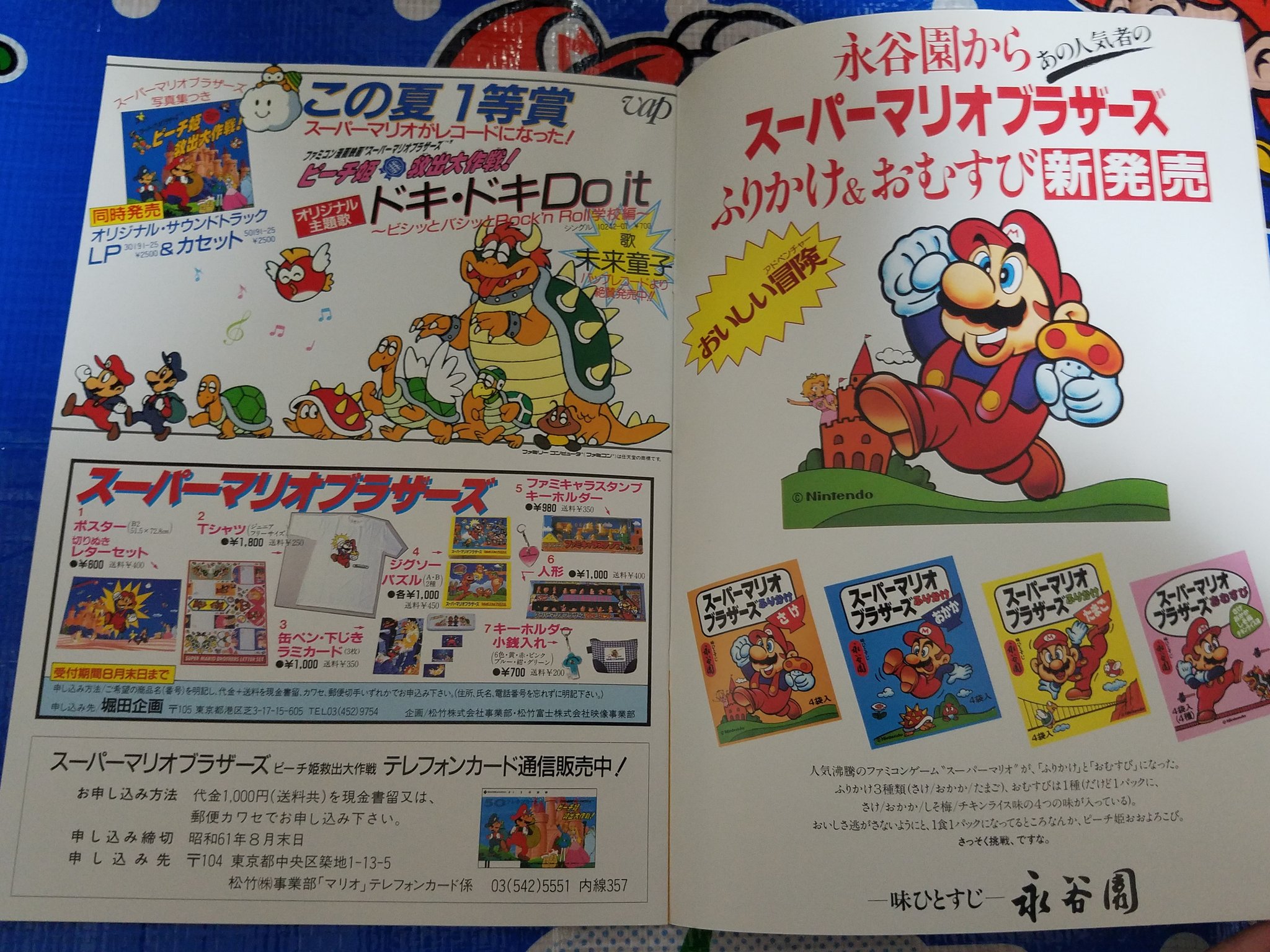Cover 17