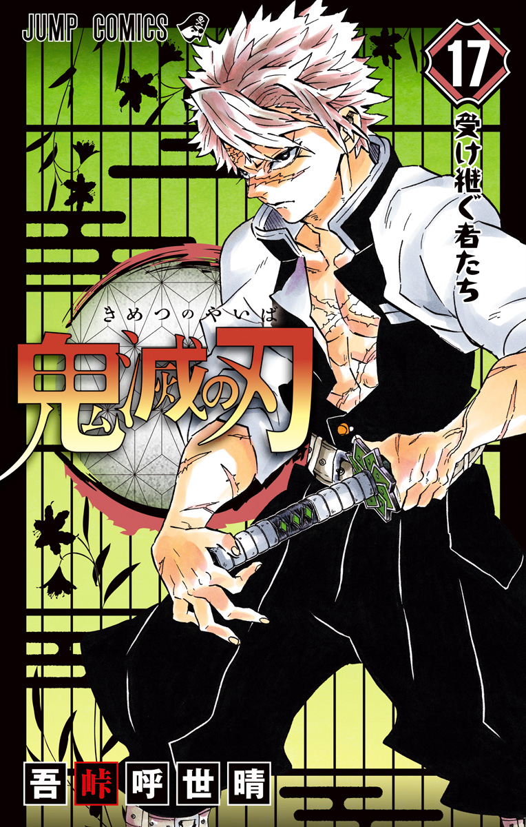 Cover 17