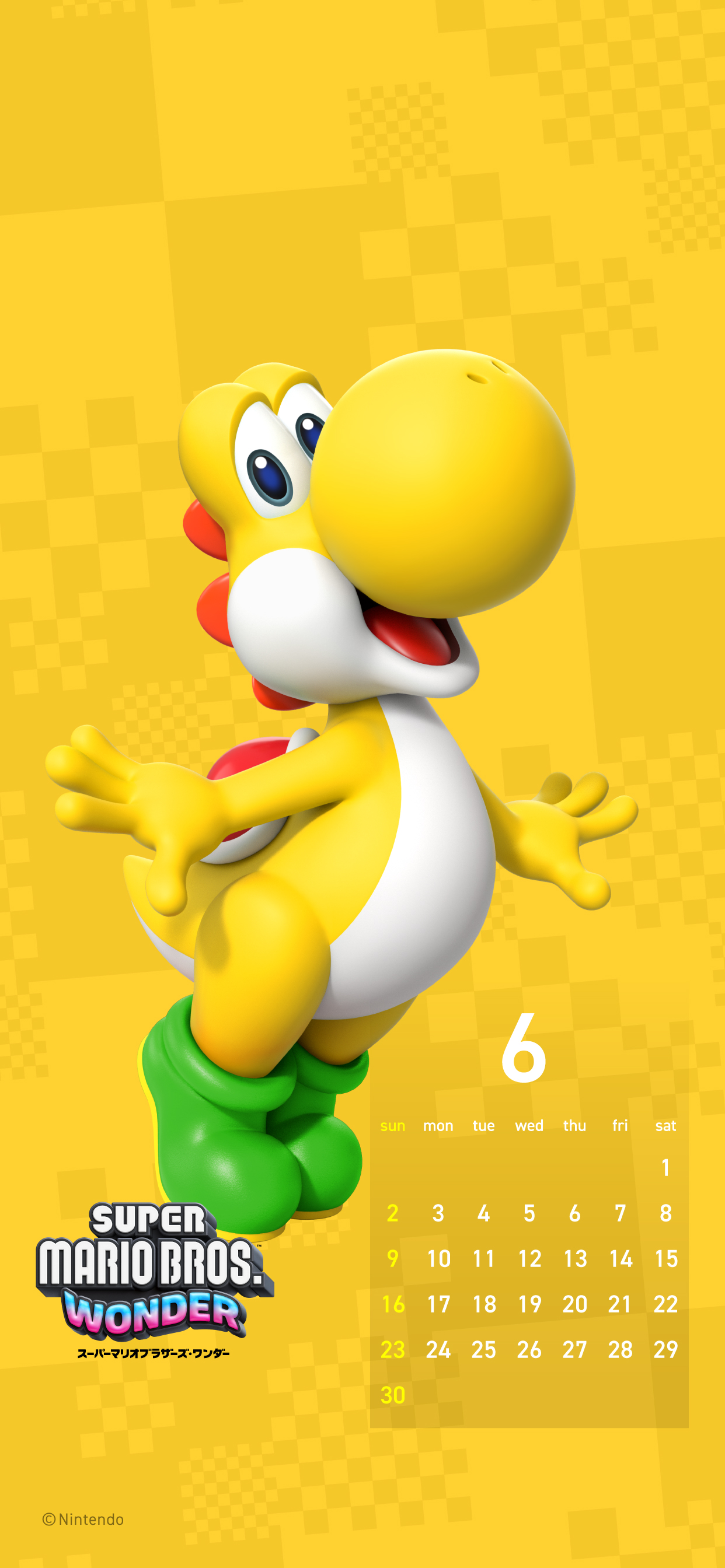 Cover 54