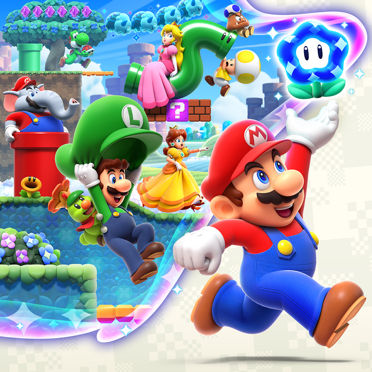 Cover 5