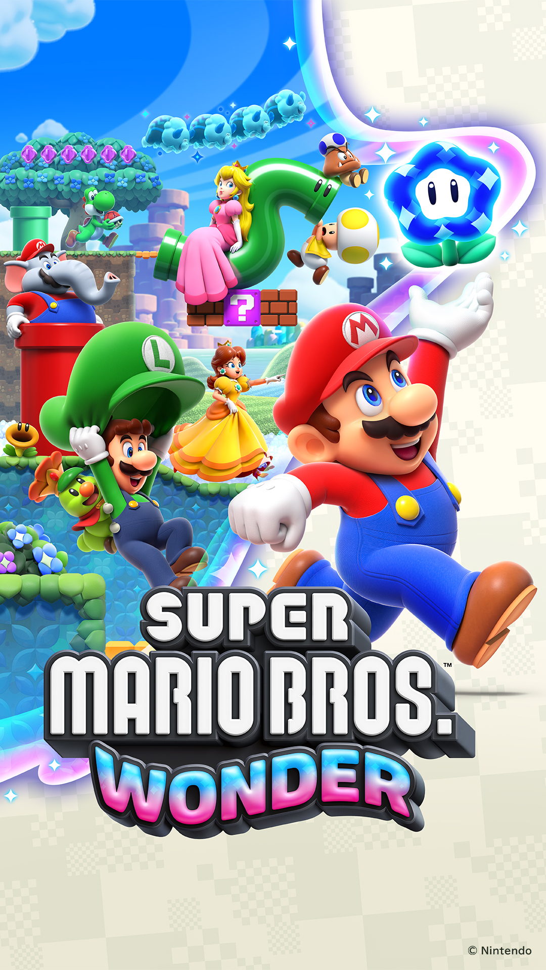 Cover 65