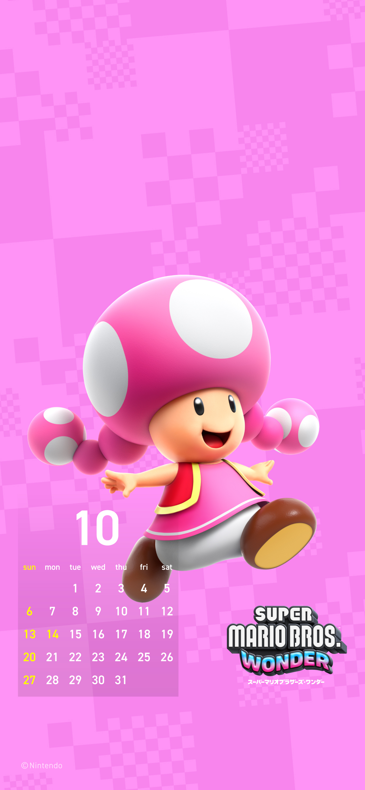 Cover 48