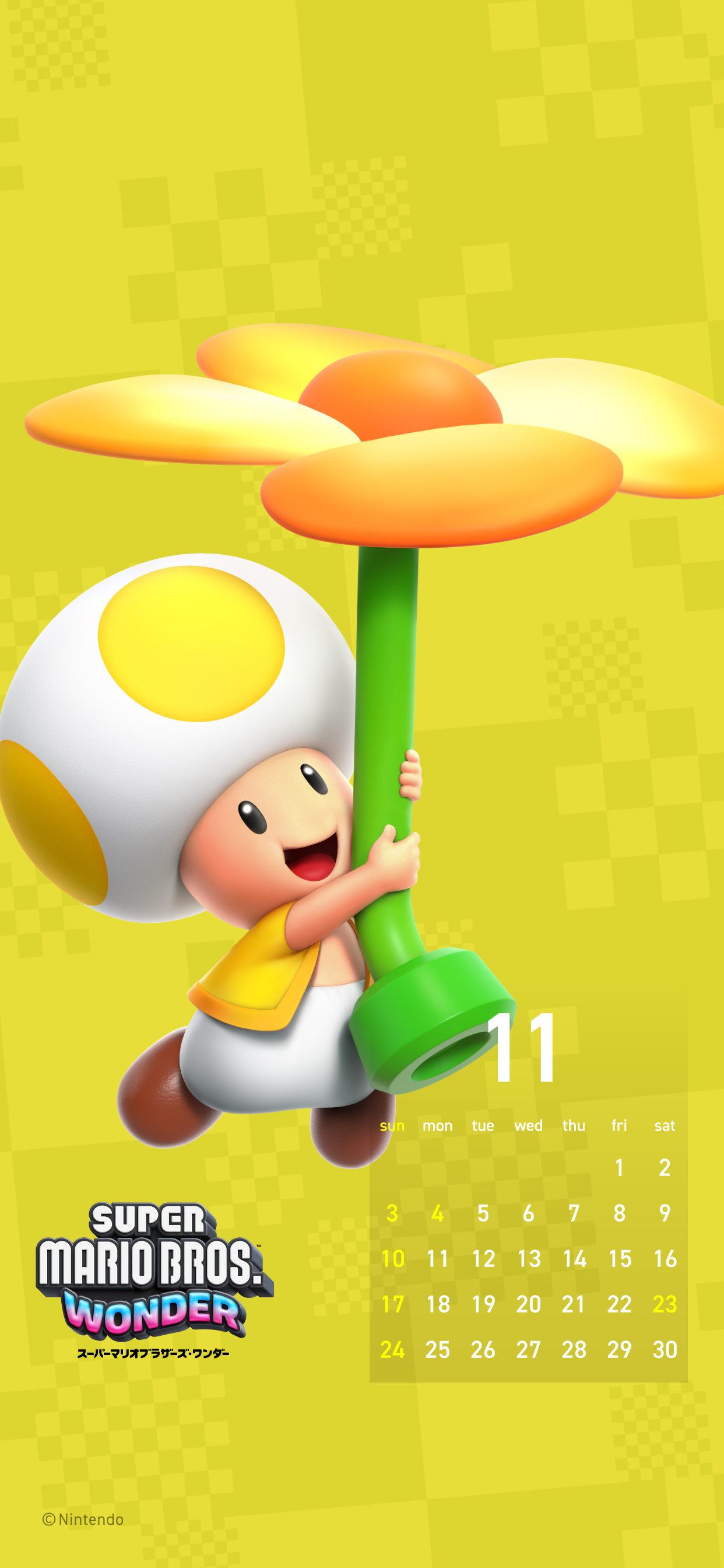 Cover 44