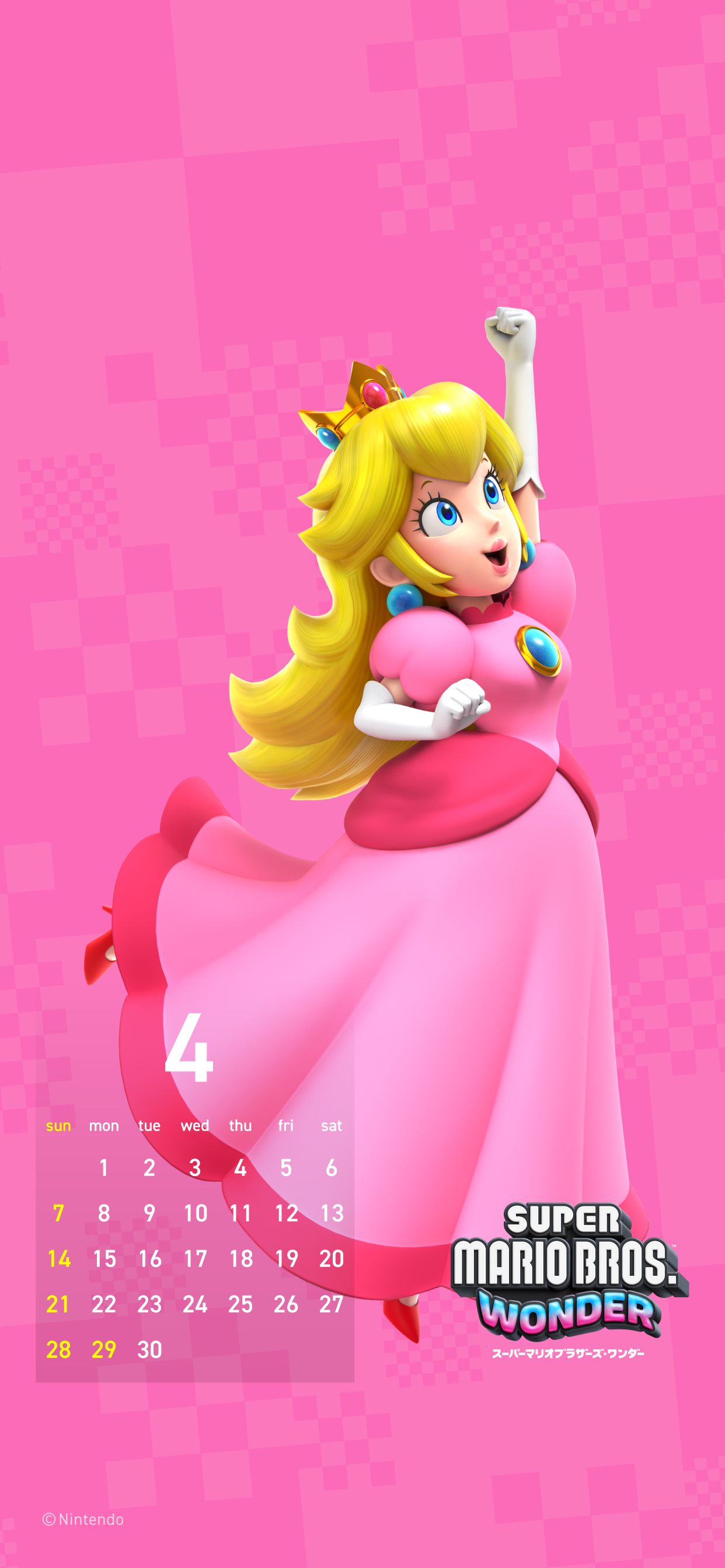 Cover 40
