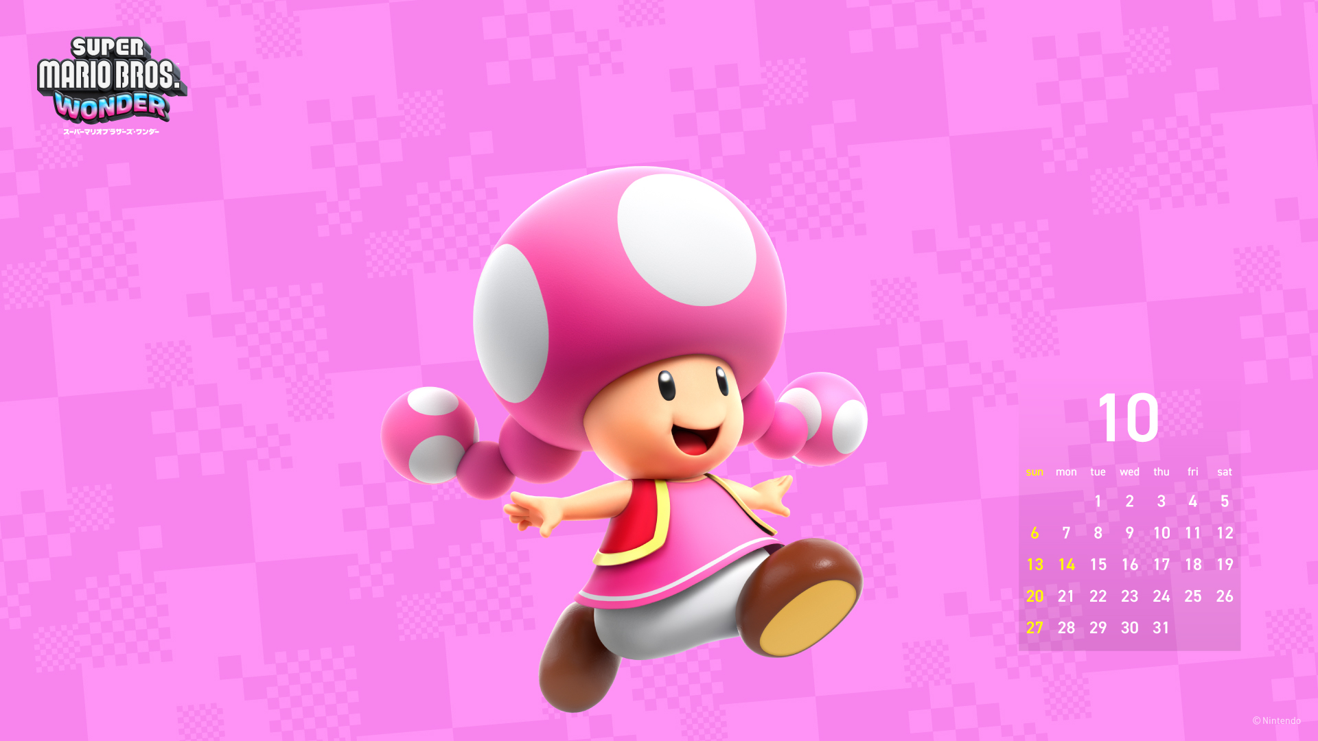 Cover 49