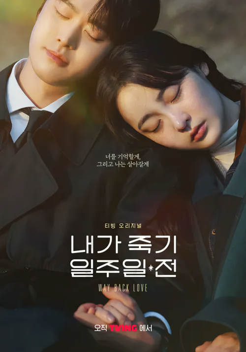 Cover 6