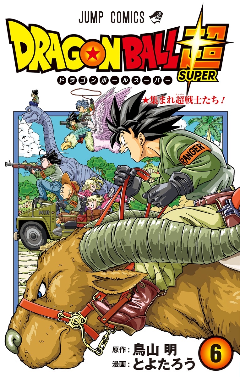 Cover 6