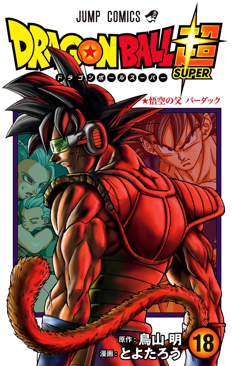 Cover 13