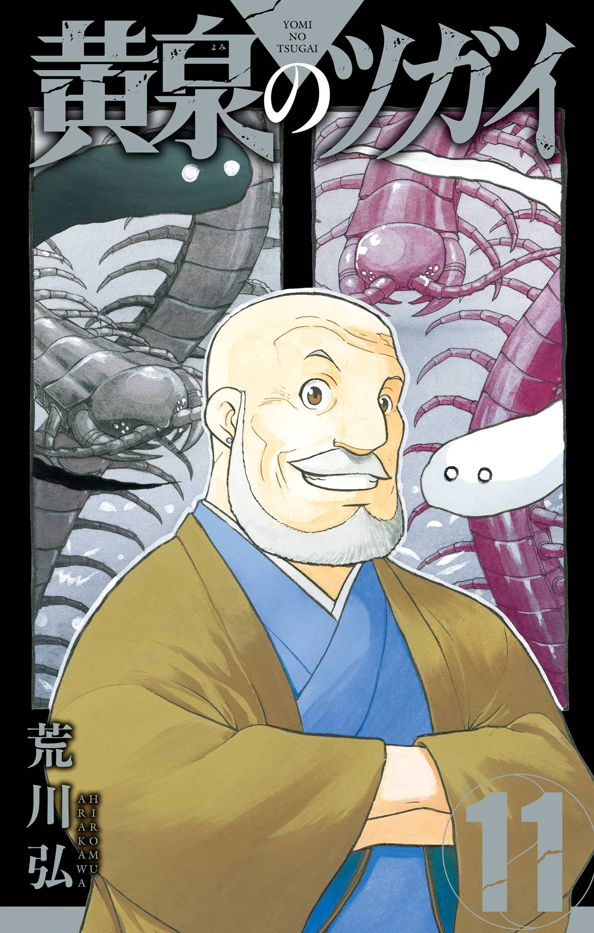 Cover 11