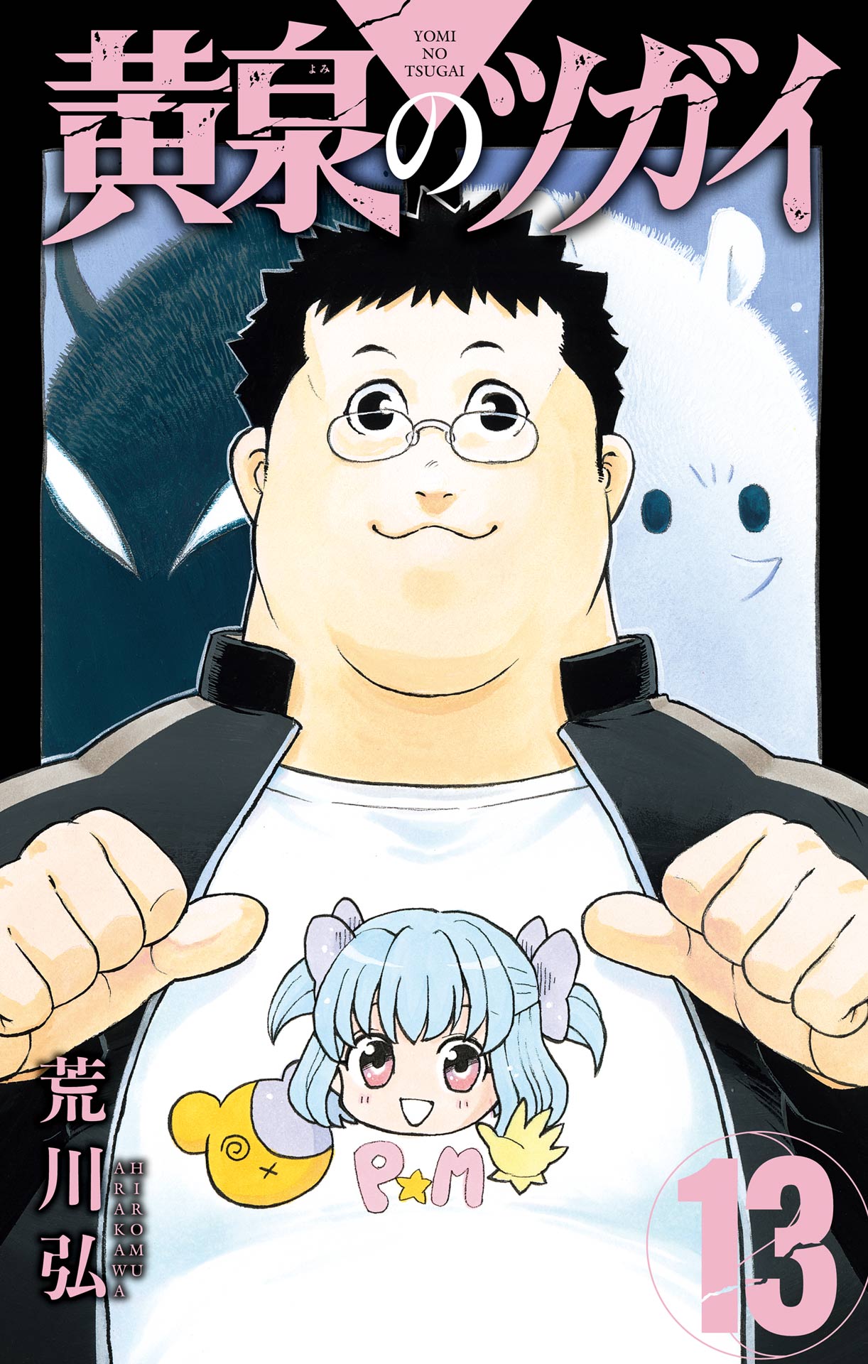 Cover 13