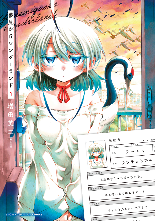 Yumemi ga oka Wonderland's cover