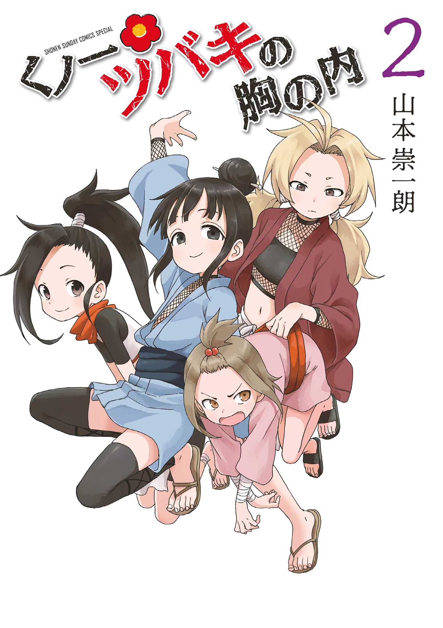 Cover 2