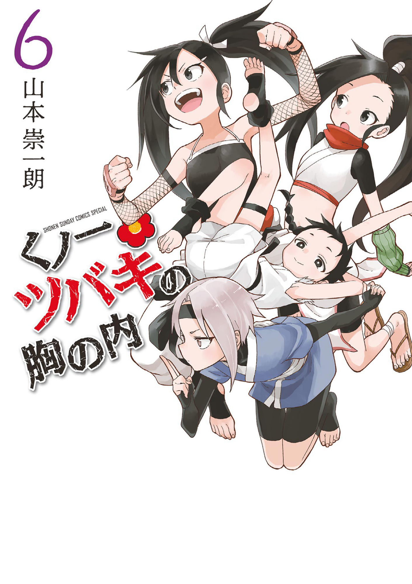 Cover 6