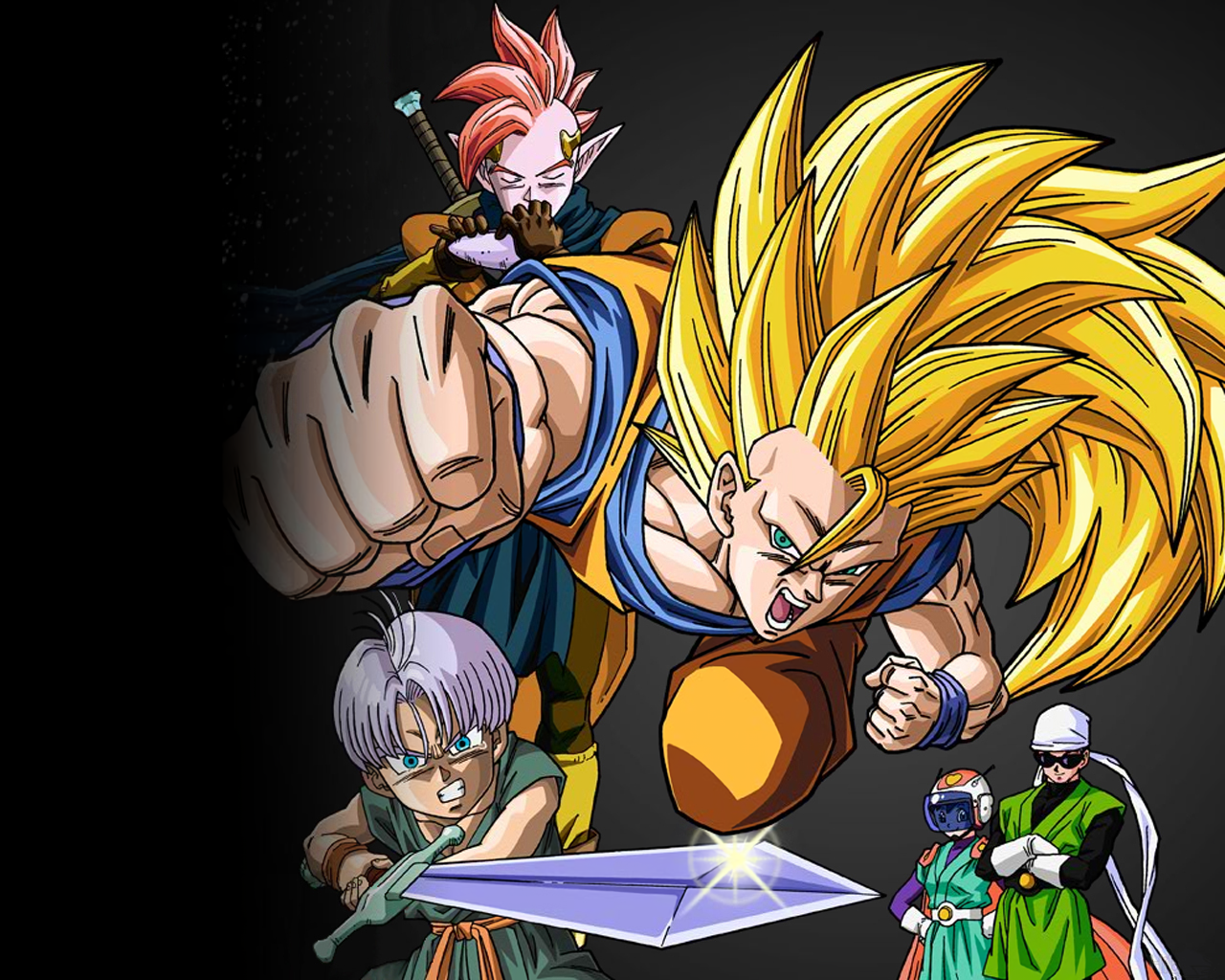 Cover 13
