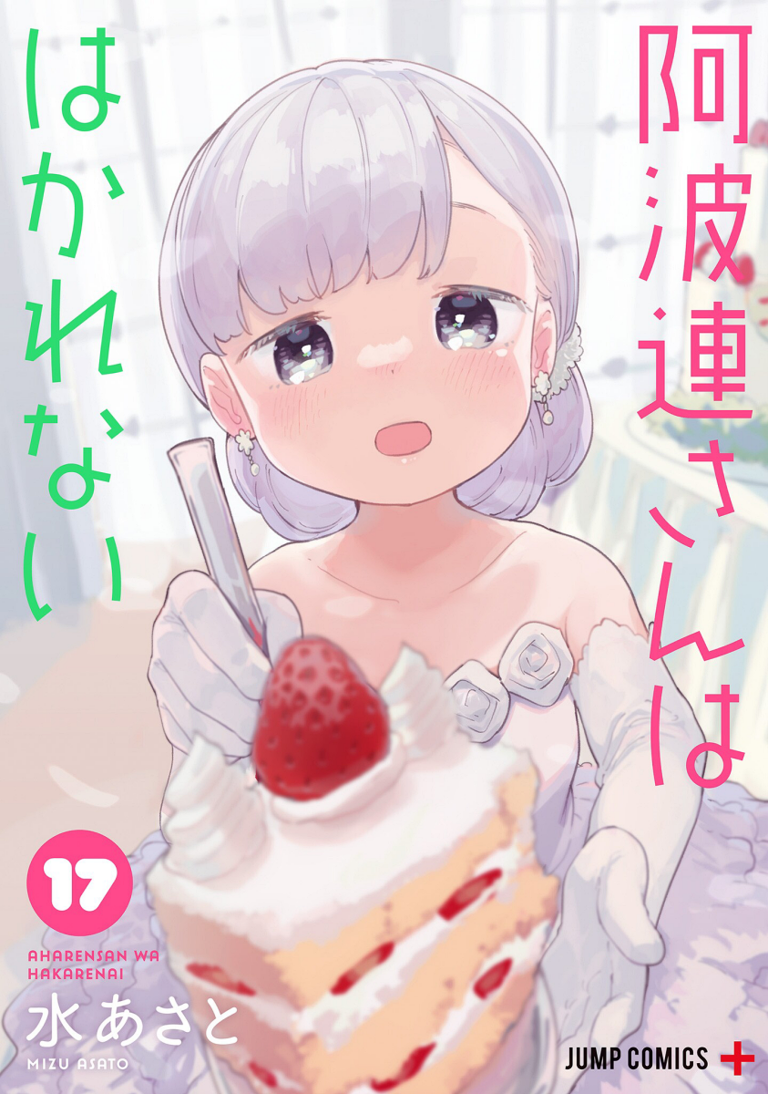 Cover 17