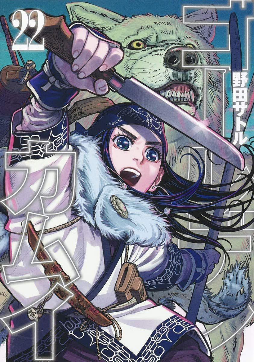 Cover 22