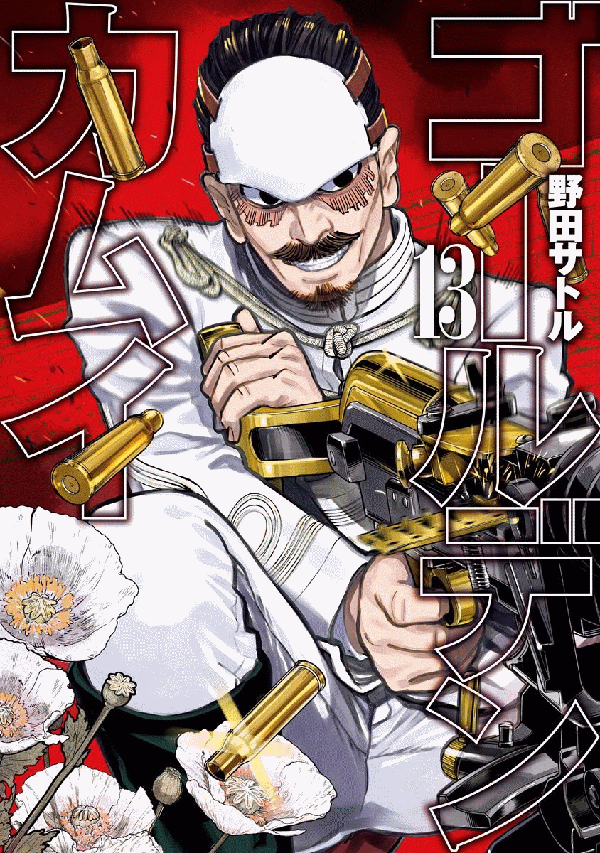 Cover 13