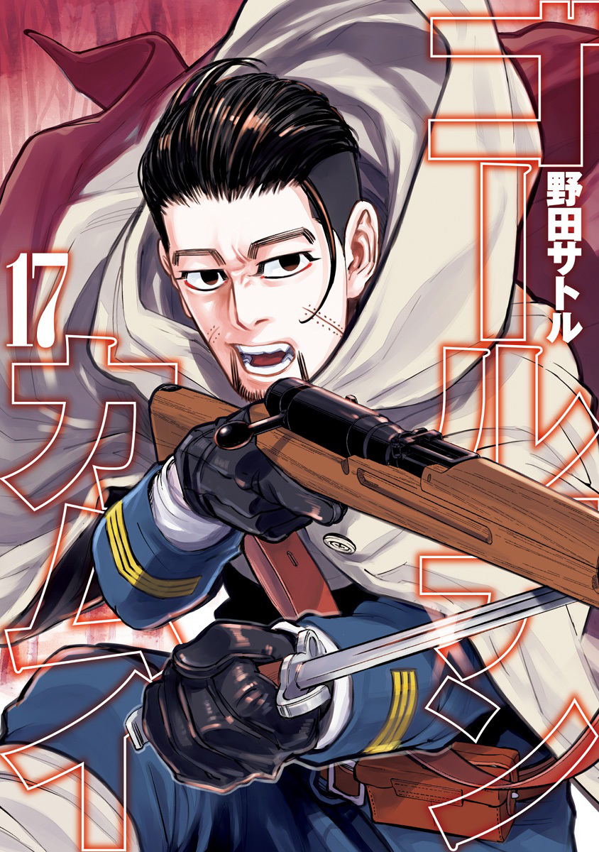Cover 17