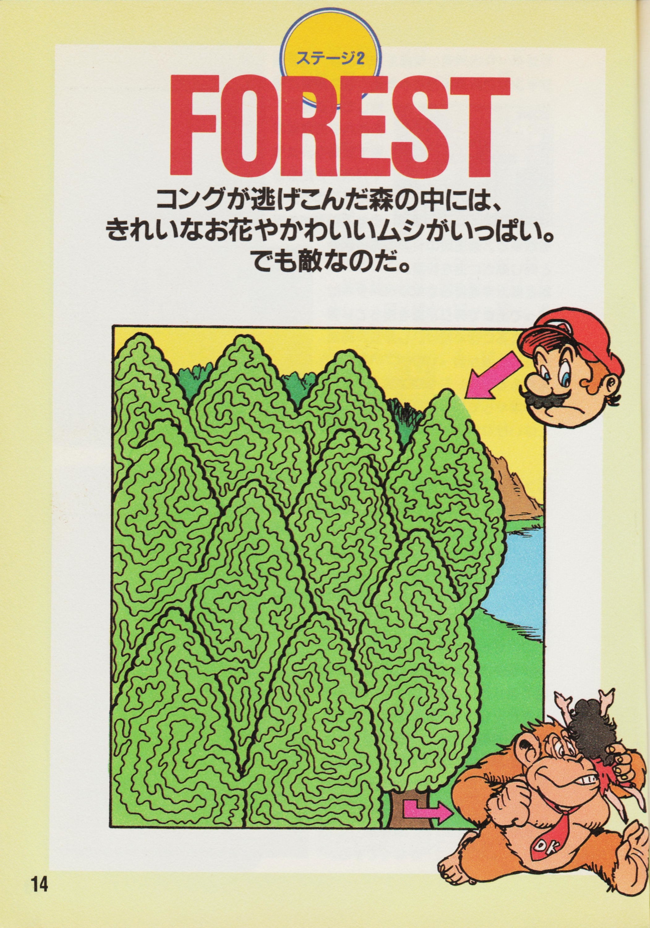 Cover 26