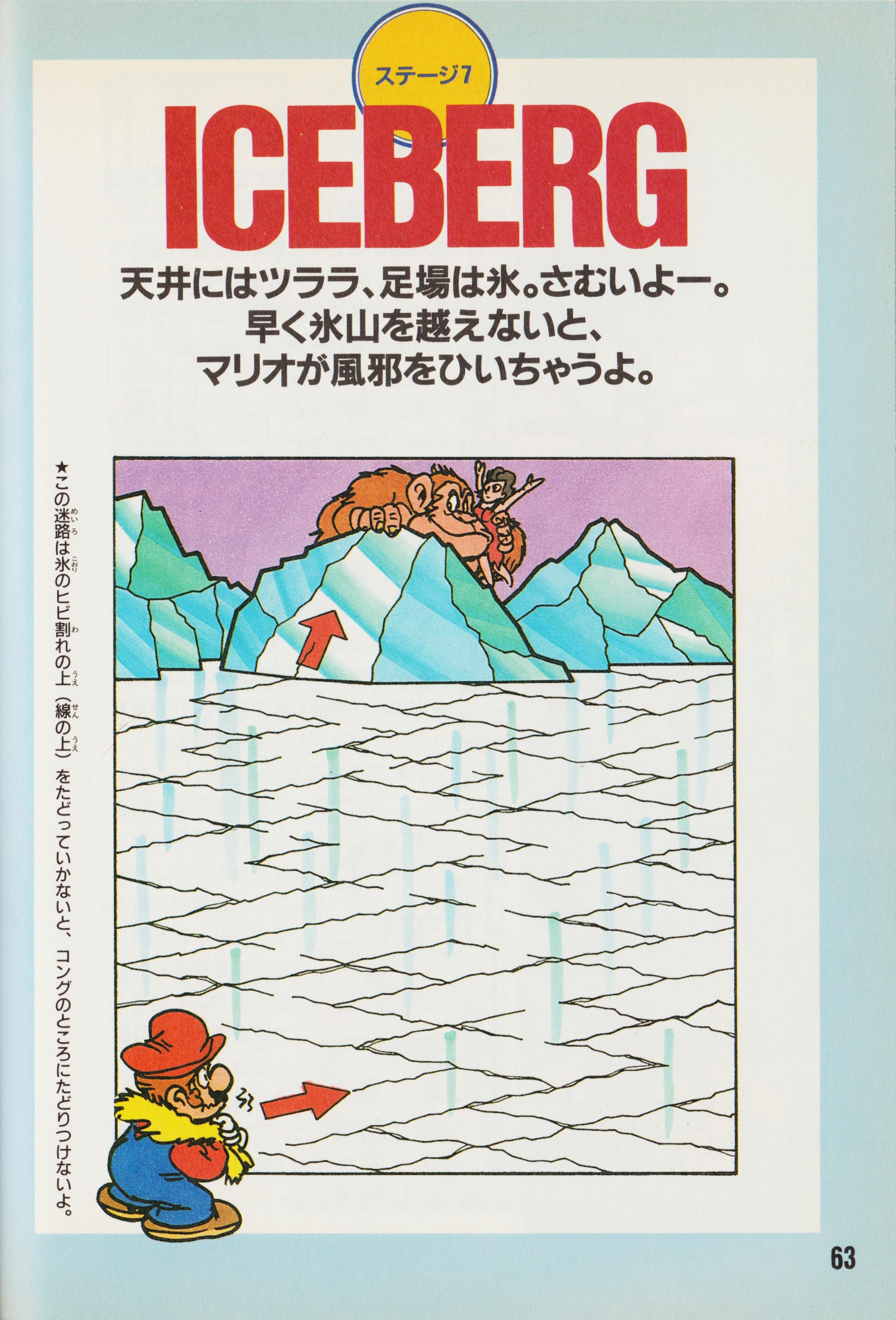 Cover 31