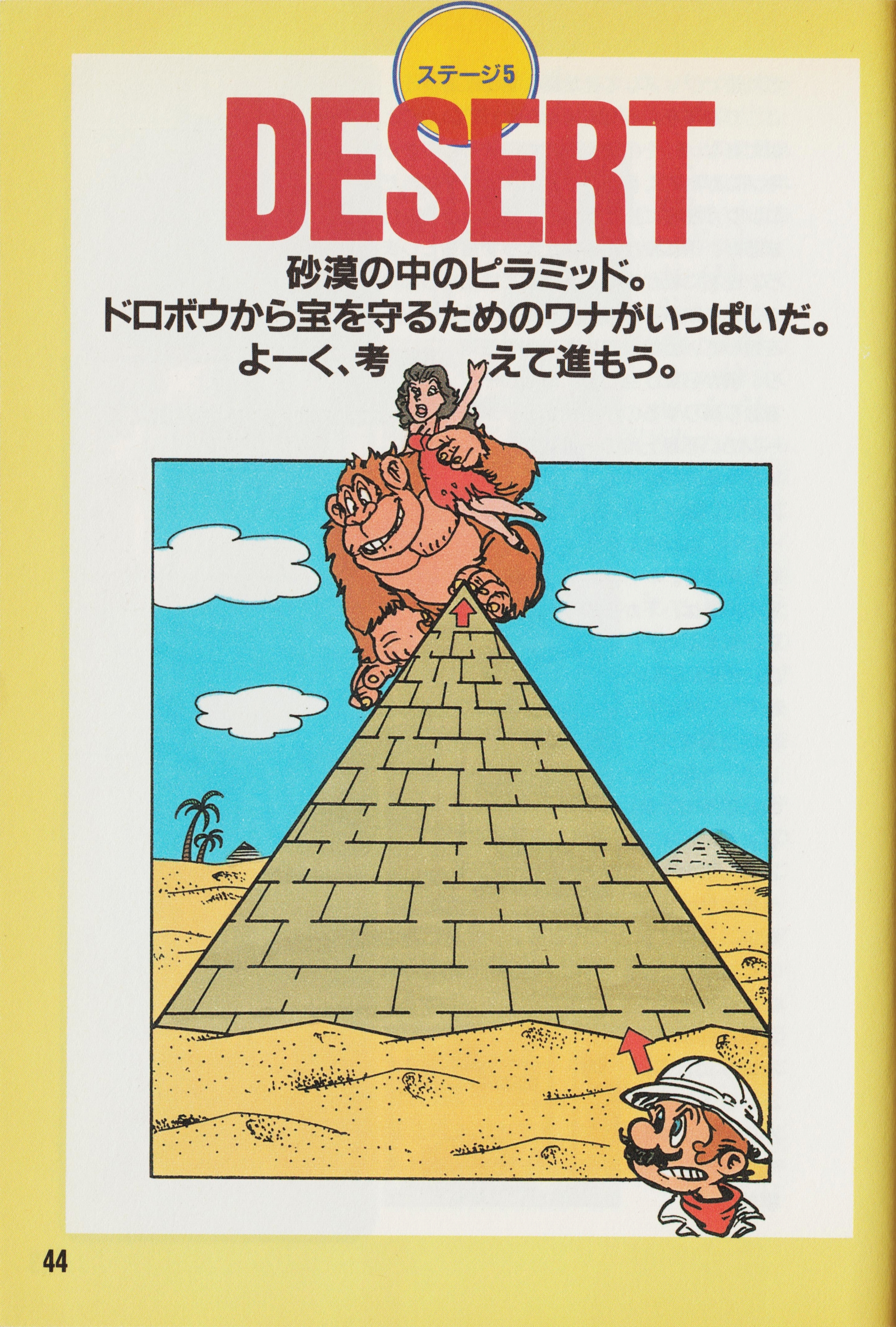 Cover 29