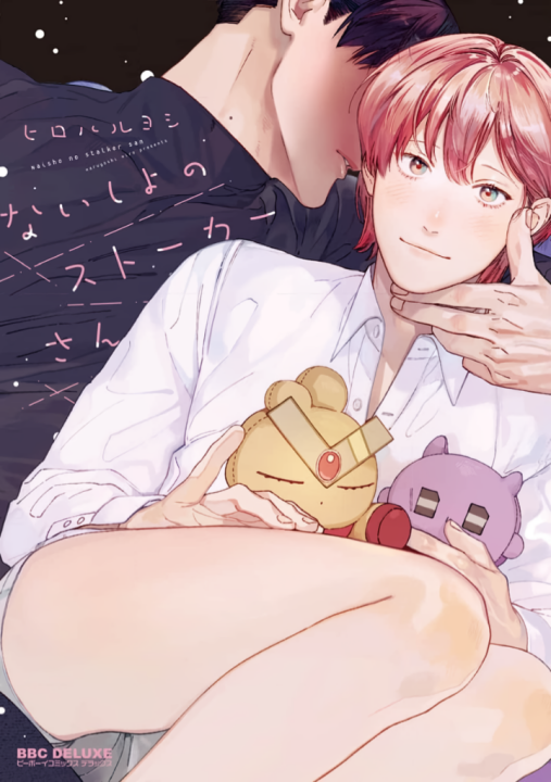 Naisho no Stalker-san's cover